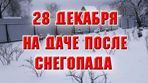 28 декабря. На даче