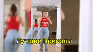 Humor hub #Приколы #СмешныеМоменты #СмешныеВидео #Комедия #СмешныеЖивотные