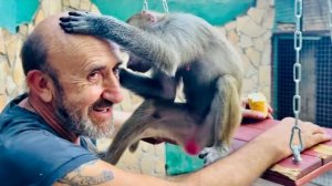 Влад и Люся СЧАСТЛИВЫ ВМЕСТЕ, но без Елисея Люся уже тоже не может, ей его не хватает)))