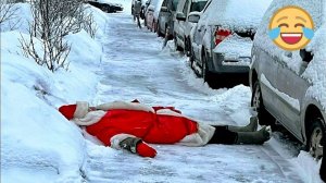 САМАЯ СМЕШНАЯ ПОДБОРКА ПРИКОЛОВ #6 Я РЖАЛ ДО СЛЕЗ  НОВЫЕ ПРИКОЛЫ ЗА ДЕКАБРЬ  СМЕШНЫЕ ЖИВОТНЫЕ