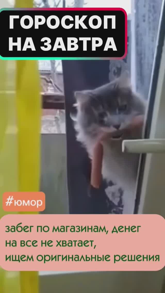 #юмор #гороскопсегодня #мем #котики смотреть онлайн
