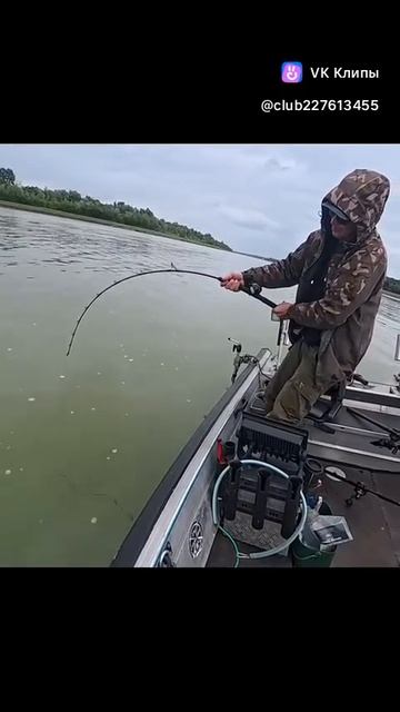 Хороший сомик #рыбалка #сом #рыбалканасома #ловлясома смотреть онлайн
