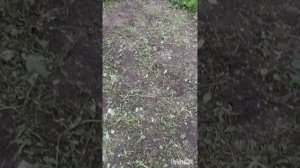 Дом и двор.Сборник интересных моментов на эту тему.Фильм10.Серия2