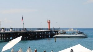 ВИДЕО  ПВН  ББ   (1575)