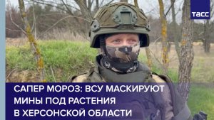 Сапер Мороз: ВСУ маскируют мины под растения в Херсонской области