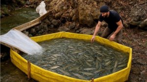 Каждый день ловит 200кг рыбы при помощи хитрой ловушки.