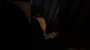 Eywildrhyme (моя любовь )