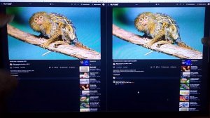 HDR vs SDR: сравниваем яркость, цвет и контраст