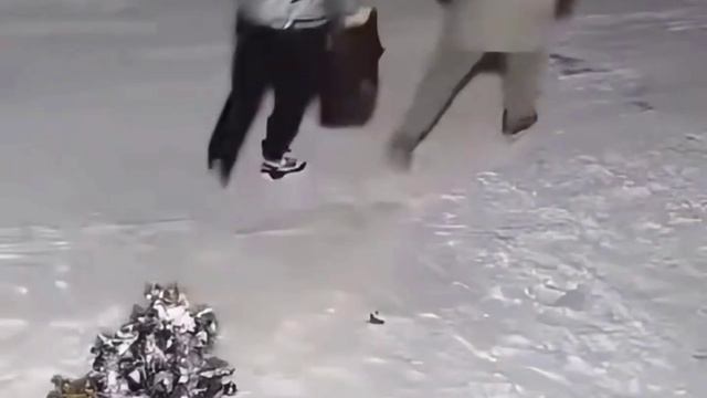 ���� � ������������ ���������