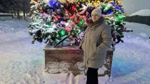 Новогодний концерт.