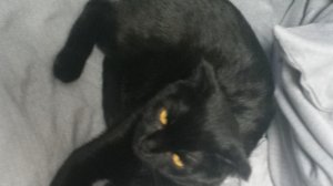 добываем изумруды (часть 1)