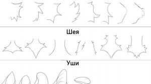 Уши, мех на щеках и шея.. (описание)