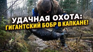 Охота на бобра #48 \ Рекорд сезона