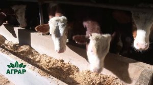 Аграр, 28.12.2025.