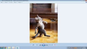 opsrif_Стих_042_Важный чувак