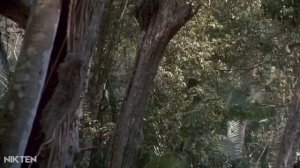 Сергей Бодров в фильме Хищник!