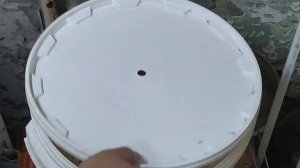 Тест дрожжей Bragman спиртовые 48 Universal