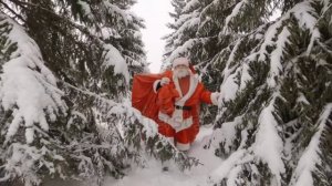 ЗАГАДАЙ ПОД НОВЫЙ ГОД