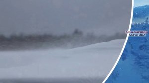 "Зима , зима" (Авт. и исп. А.Шаронов0