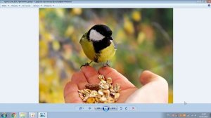 opsrif_Стих_027_Причинять добро