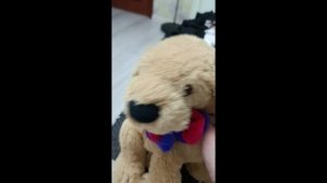 гнусный кот Васька украл Норда и Арнольда
немецкая овчарка мейлон