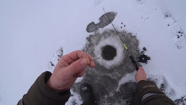 Рыболовное Путешествие. 1 Лёд 2025 - 2026