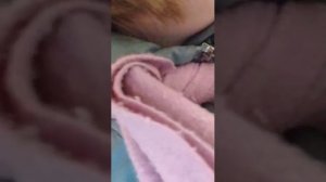 иду в магаз