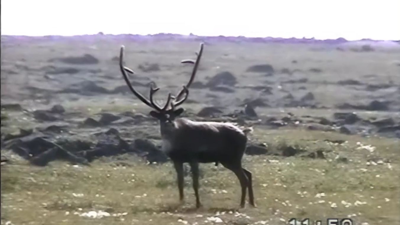 Кольский полуостров Август 2004 часть 2 Ловозе́рские тундры или Луяврурт