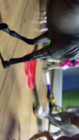 а лошади шлях и коллекты тоже ведь играют Правда или действие