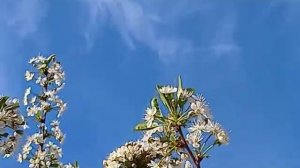 КОМЕДИЯ РОК Пришествие Весны с Любовью!