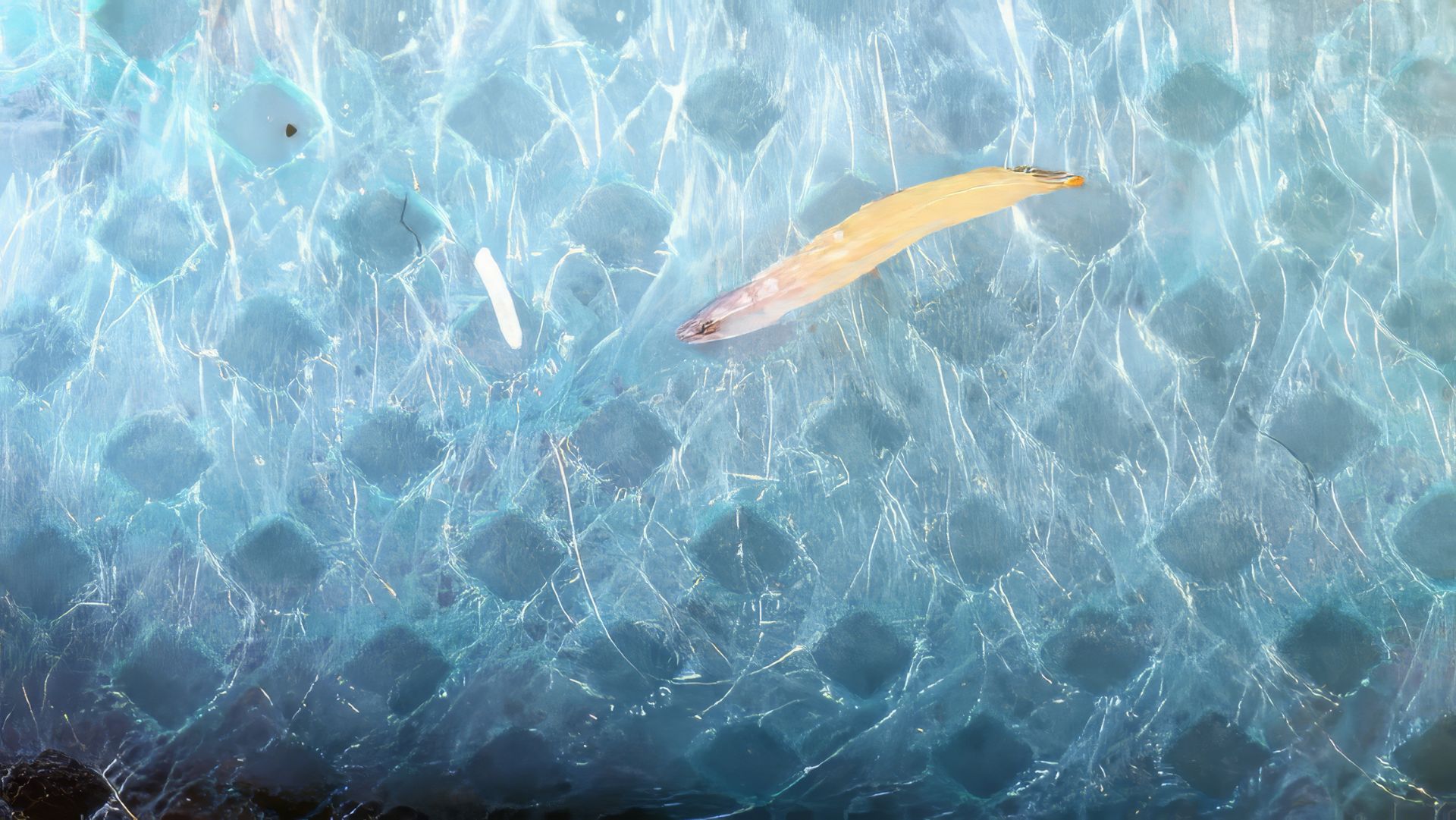 ЧЕРВЯКИ В МЕДИЦИНСКИХ МАСКАХ!? ЭКСТРЕННОЕ ВИДЕО! смотреть онлайн