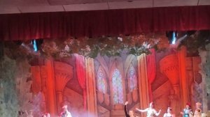 VID_2025Сегодня я был на Балете Лебединое озеро