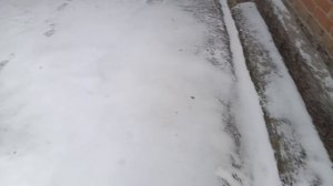 Какая зараза :)