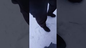 2 часа в лесу