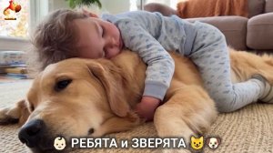 Ребята и зверята от ИИ милое видео для души и радости 👶🏻😺🐶 (16)