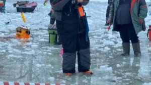 Зарыбление!