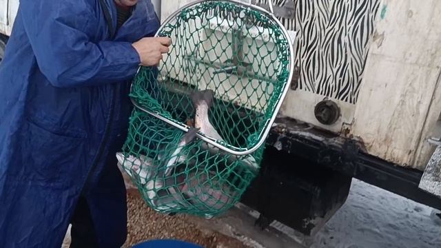 Forest Fishing 27.12.25