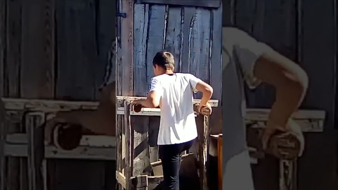 Dips non stop смотреть онлайн