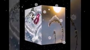 Дим Ситдиҡов🎄🎄🎄