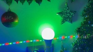 Любимые🤩 подписчики 🥳Мы с Беней поздравляем 🍾 Вас с наст. НГ 🎄Бенюша танцует 💃 для вас 🎄 🎅 🤶