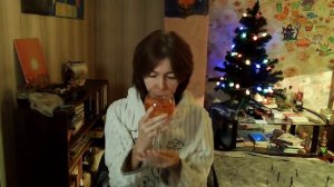 Проводим старый год