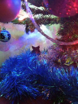 разговаривать с подписчиками