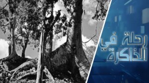 تشابهات عابرة للمحيطات أو لغز ظهور حواء وشجرة الجنة في أساطير مايا القديمة