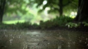 VID_20251228_171041_939.mp4