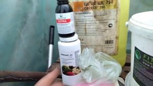 Вторая подкормка рассады томата - ФИТАКТИВ Экстра, ЦЕ ЦЕ, Тур, полифид, фосфат мочевины