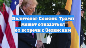 Политолог Соскин: Трамп может отказаться от встречи с Зеленским