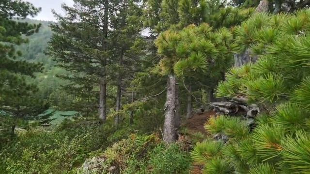 Сквозь терни к Мультинской принцессе. Адская дорога и завораживающие виды