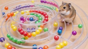 ИИ | ЗАЛИПАЛКИ | РАЗВЛЕКАТЕЛЬНОЕ ВИДЕО