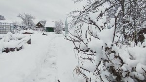 Жду гостей, Новый Год и шашлыки :)