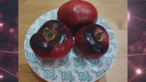 СКИДКИ на СЕМЕНА!  НАБОР семян ТОМАТОВ № 1.  т. 89229284031